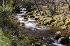 Ruisseau d'Escales