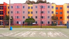 Apartment Colors