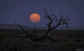 Sunset at Namibia desert