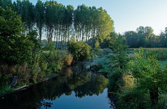 Andlau river - Photo of Gerstheim