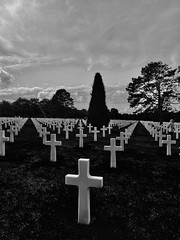 American Cemetery at Normandy - Photo of Cussy