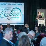 November 9' 2022 - Business Excellence Awards