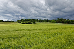 Countryside - Photo of Muhlbach-sur-Bruche