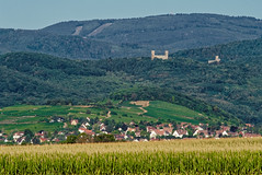 Andlau castles from the plain - Photo of Herbsheim