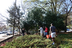 Planting at Calvert Memorial Park Garden