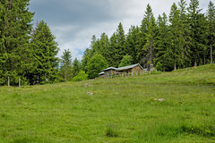 Dream house - Photo of Griesbach-au-Val