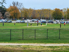 Cricket In Eisenhower Park