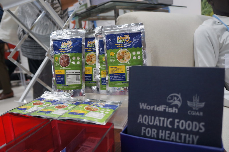 WorldFish&#039;s aquatic foods exhibition at the 27th United Nations Climate Change Conference (COP27). Photo by Aniss Khalid, WorldFish.