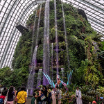 Cloud Forest Avatar The Experience
