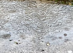 raindrops rippling