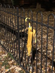 Yellow umbrella left behind on fence, Rose Park at night, Georgetown, Washington, D.C.
