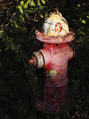 Emotional Fire Hydrant