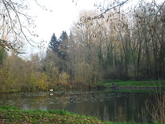 Parc de la Deûle La Canteraine - Photo of Annœullin
