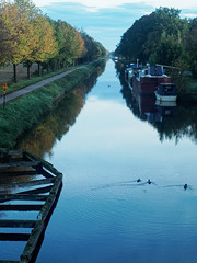Canal - Photo of Matzenheim