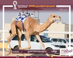 صور سباق الجذاع العامة (ميدان الشحانية) مهرجان المؤسس -مساء 6-12-2022