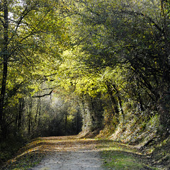 Chemin - Photo of Pradère-les-Bourguets