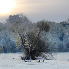 Matin d-hiver - Photo of Lamasquère