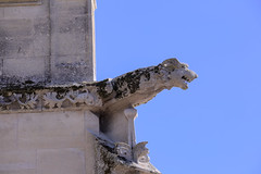 Gargoyle on the church Saint-Nicolas in Beaumont-le-Roger - Photo of Villez-sur-le-Neubourg