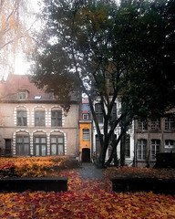 Petite maison du Vieux-Lille en automne