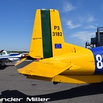Pilatus P-3 Walkaround (AM-00328)