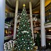 The tall Christmas tree at The Star Vista