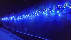 Xmas lights in Albuquerque, New Mexico.
