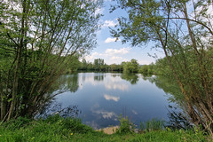 Lake next to Moselle near Rettel