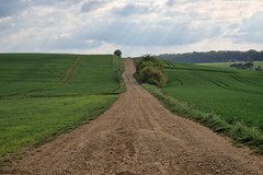 Track near Baslieux - Photo of Ville-au-Montois