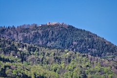 Mont Sainte-Odile - Photo of Uttenheim