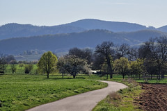 Vosges mountains from the plain - Photo of Bolsenheim