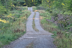 Track near Evendorff - Photo of Chémery-les-Deux