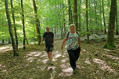 Hike near La-Petite-Pierre - Photo of Rosteig