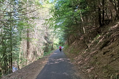 Bicycle route near Rothau