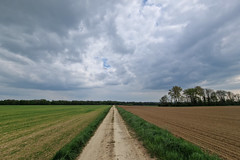 Track near Ville-au-Montois - Photo of Anderny