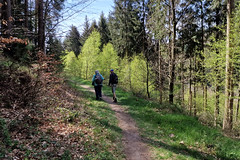 Hiking in La Petite-Pierre - Photo of Obersoultzbach