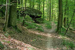 Hike near La-Petite-Pierre - Photo of Schalbach