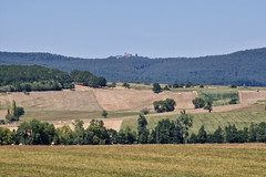 Edge of the Vosges - Photo of Buswiller