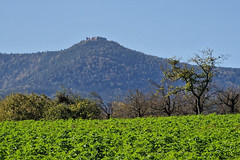 Mont Sainte-Odile - Photo of Saint-Pierre