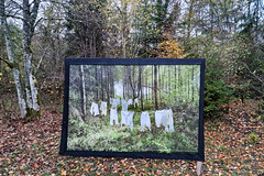 Forest art - Photo of Serrouville