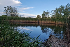 Altenhoven Nature Reserve - Photo of Breistroff-la-Grande