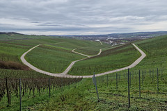 Moselle vineyards near Wellenstein - Photo of Rustroff