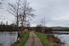 Track between two lakes near Besch - Photo of Manderen