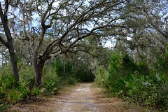 A Florida Stroll