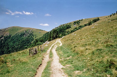 The path to Vosges