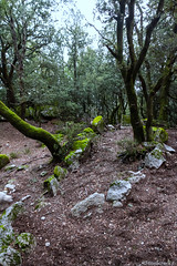 Reste d-habitat préhistorique - Photo of Moca-Croce