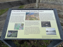 Giacommi Wetlands Restoration Project