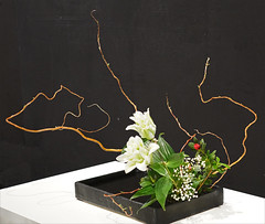 Ikebana de l'École Ohara (Maison de la culture du Japon, Paris)