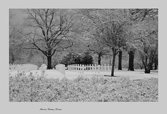 American Cemetery Lorraine - St-Avold (Moselle, Lorraine, France) - Photo of Pontpierre