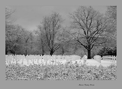 American Cemetery Lorraine - St-Avold (Moselle, Lorraine, France) - Photo of Obervisse