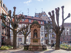 La place du Pont-Aux-Chats et sa fontaine - Photo of Strasbourg